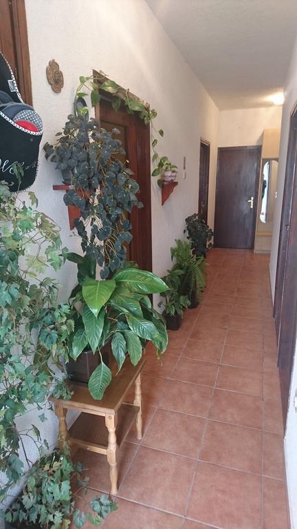 Apartment Leona 塞尼 外观 照片